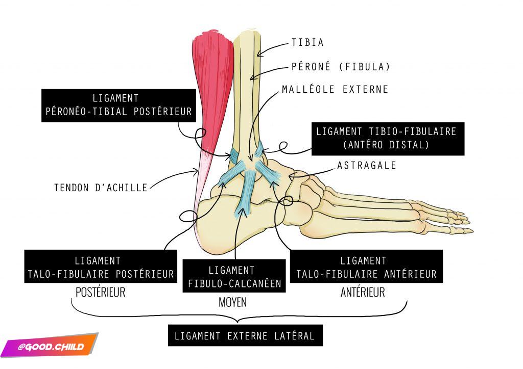 cheville ligament - entorse - goodchild jump rope