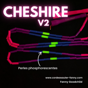 Cheshire 🐈✨ Édition Limitée